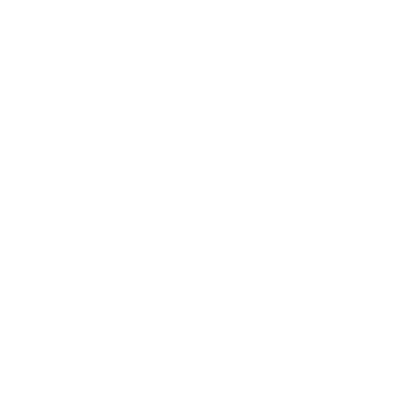 Icon Ladesäulen